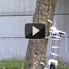 Treebot – O robô trepador, trepa melhor que você!